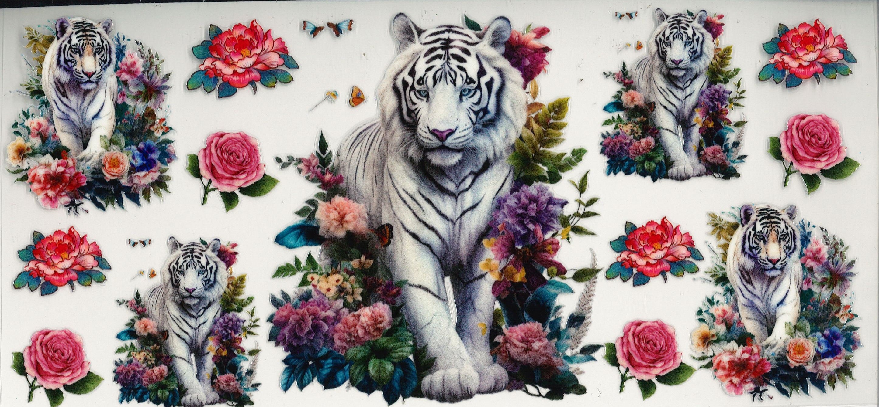 Animals & more #7