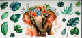 Animals & more #16