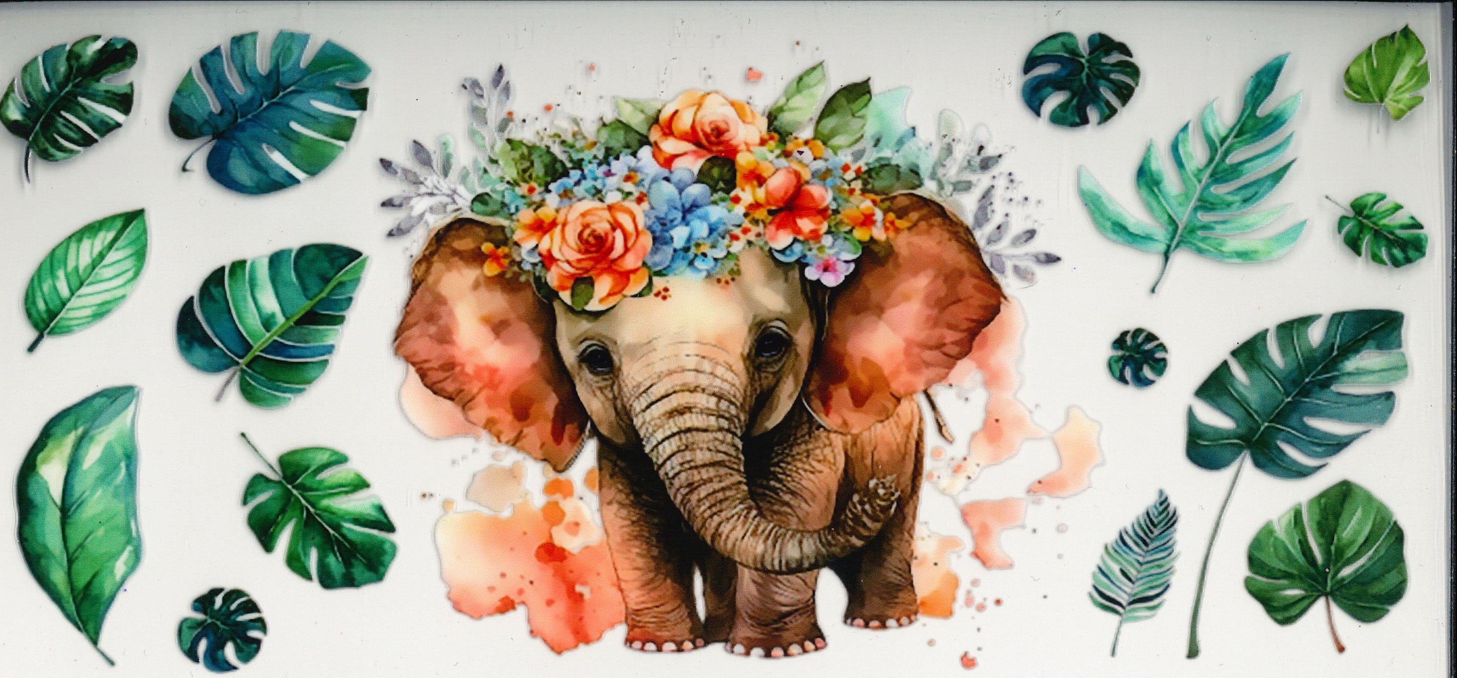 Animals & more #16