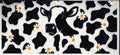 Animals & more #23