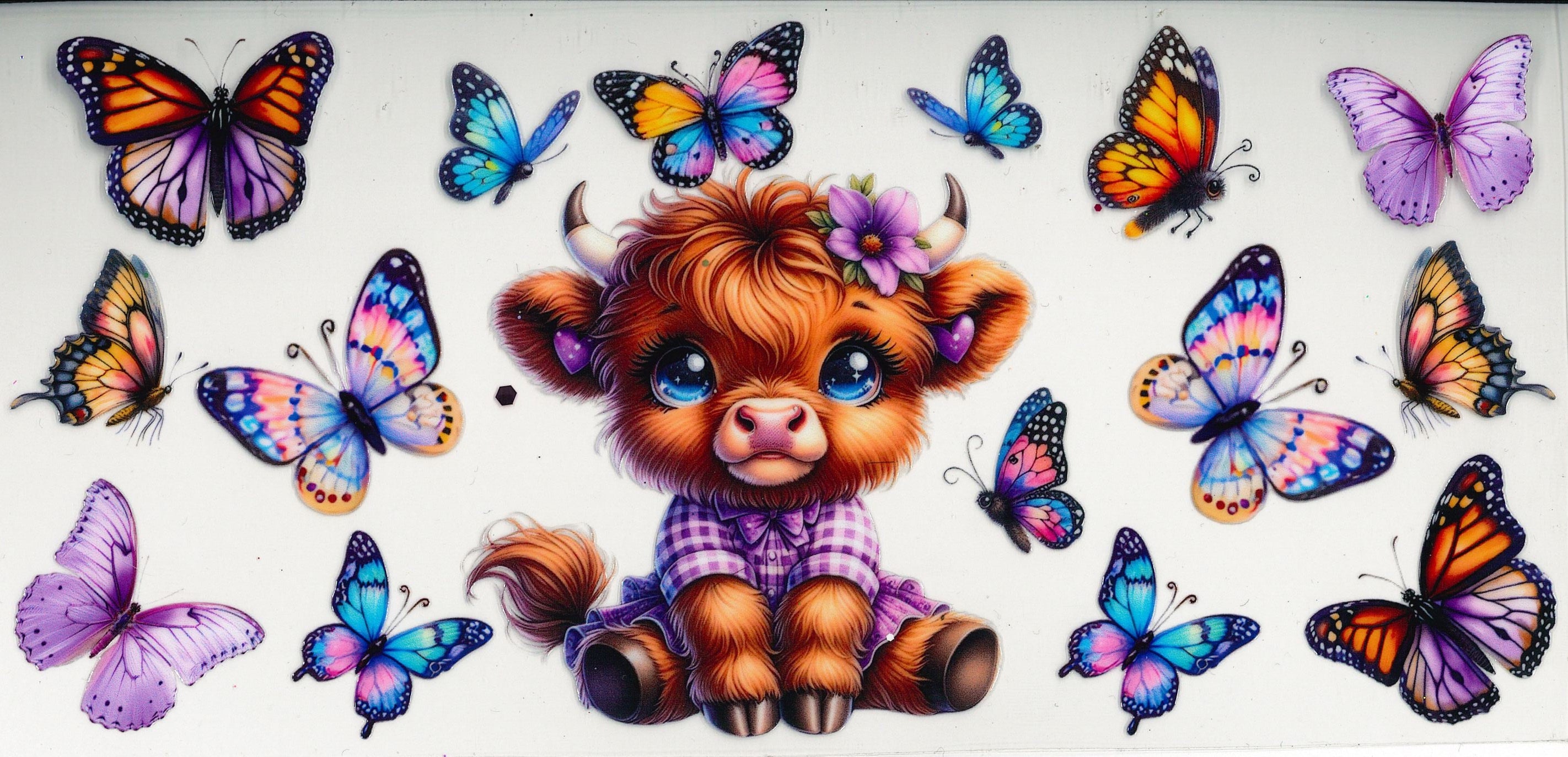 Animals & more #4