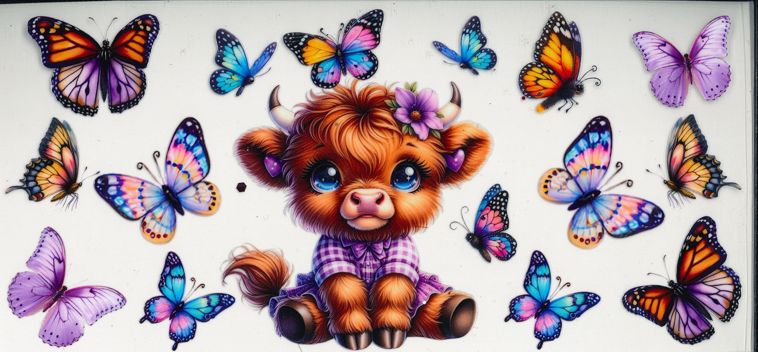 Animals & more #13